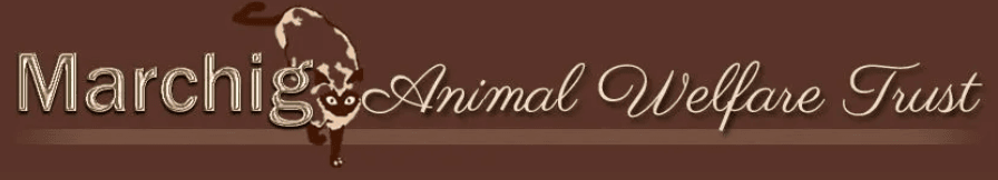 The Marchig Animal Welfare Trust