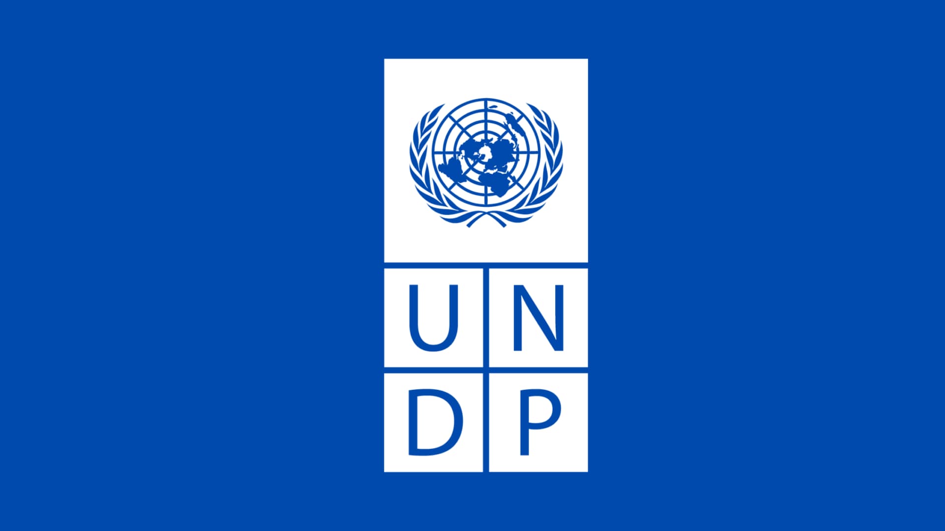 United Nations Development Programme (UNDP)