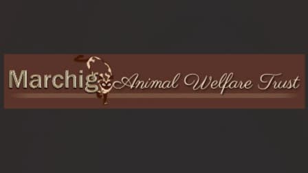 Marchig Animal Welfare Trust — Global Grants for Animal Welfare (Nepal Fully Eligible)